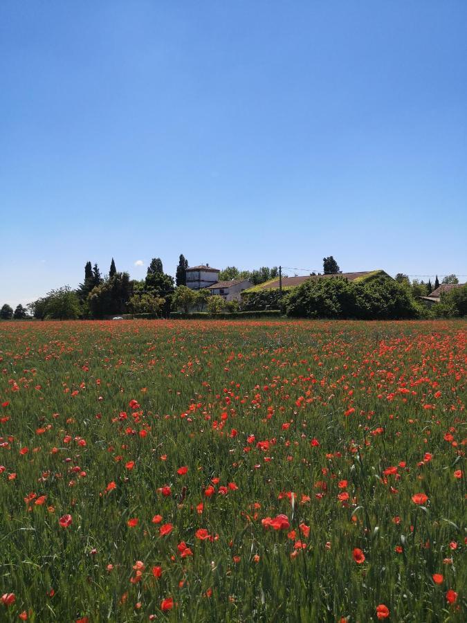 Agriturismo Corte Spino Villa Nogarole Rocca Esterno foto