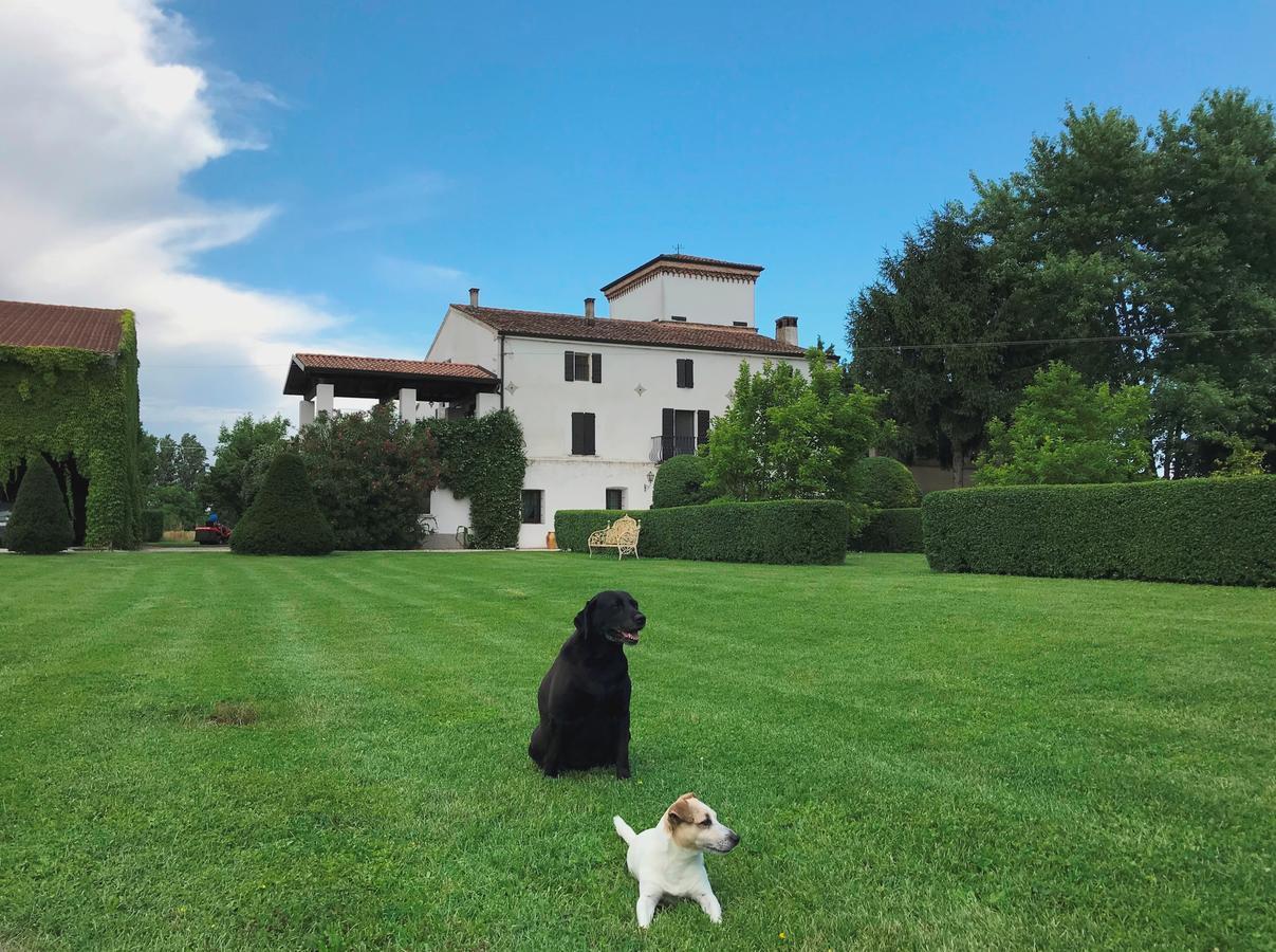 Agriturismo Corte Spino Villa Nogarole Rocca Esterno foto